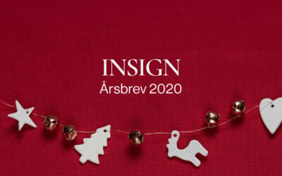Insign’s årsbrev – 2020