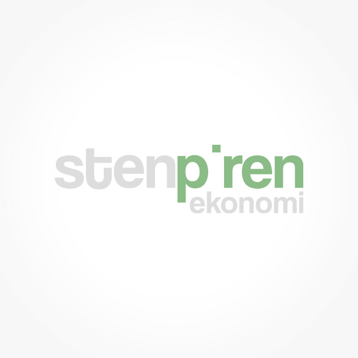 stenpiren_logo