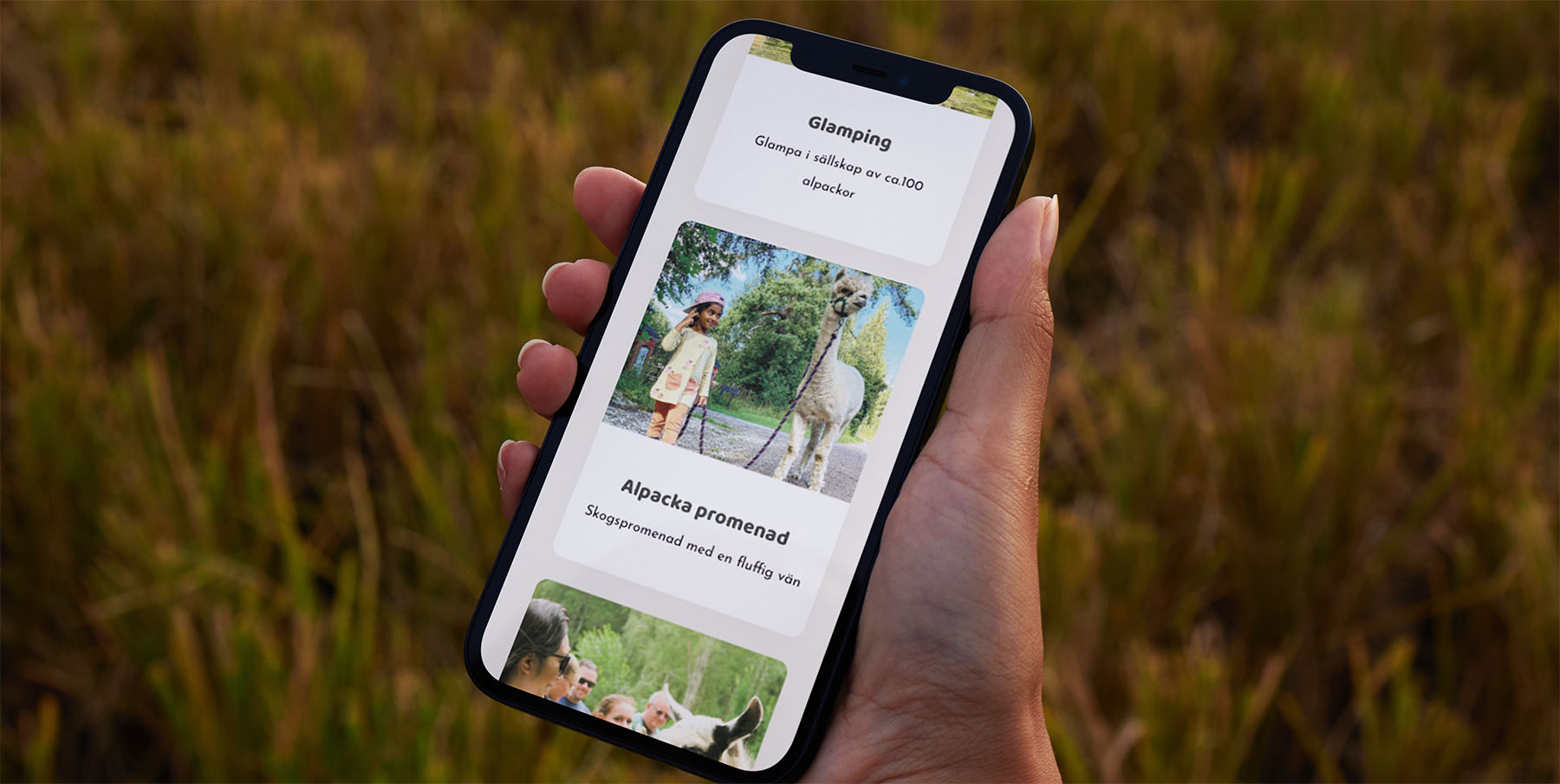 iphone-Norrängens-Alpacka Norrängens Alpacka