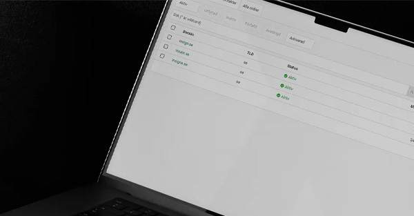 domannamn-insign-web