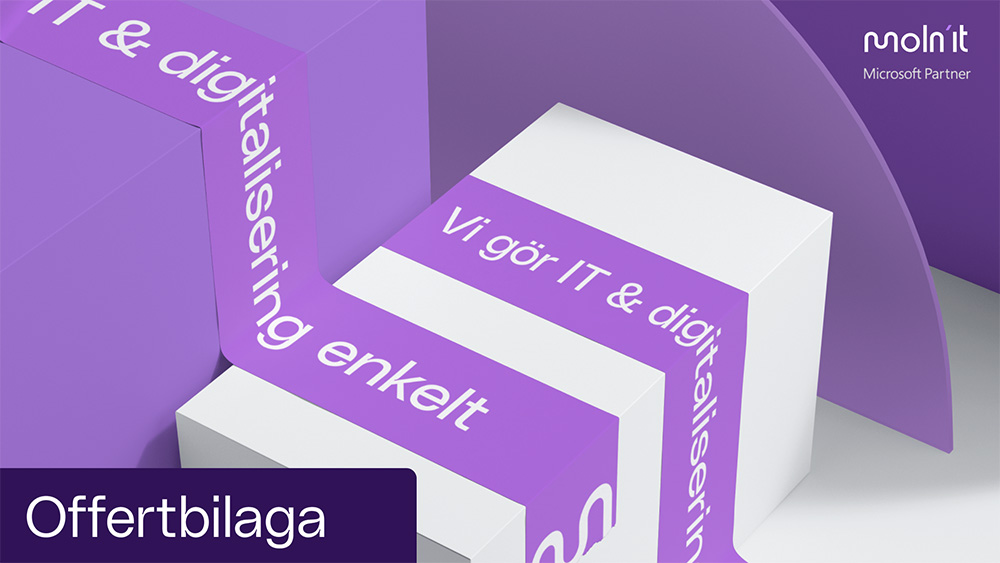 Offertbilaga Molnit-insign-1 molnit Insign
